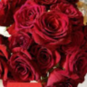 Meet your Posher, Cheryl